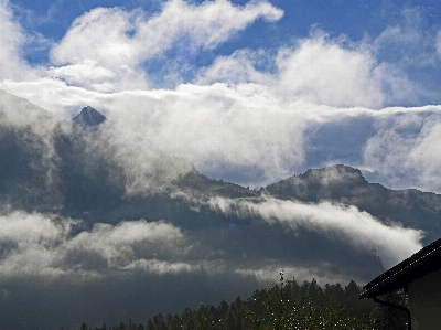 Nature forest mountain snow Photo