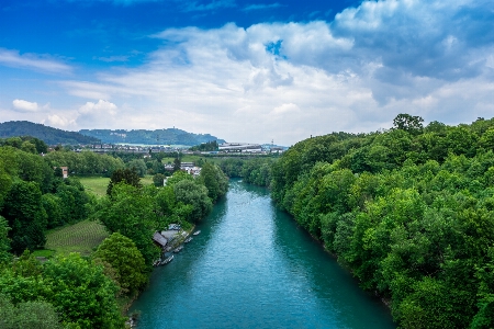 Landscape tree water nature Photo