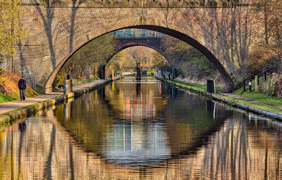 Eau pont fleur rivière