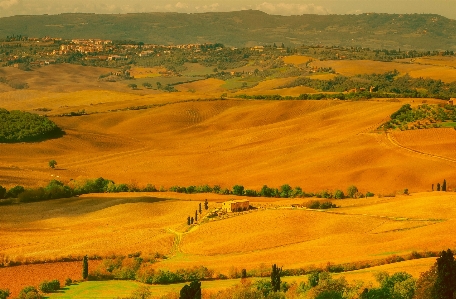 Фото пейзаж природа лес гора