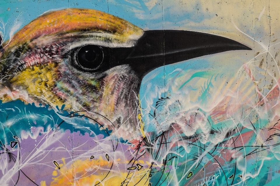 Bird colorful graffiti painting