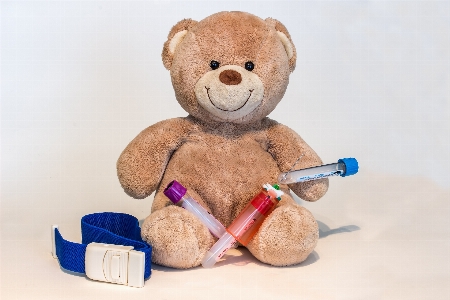 Needle toy material teddy bear Photo