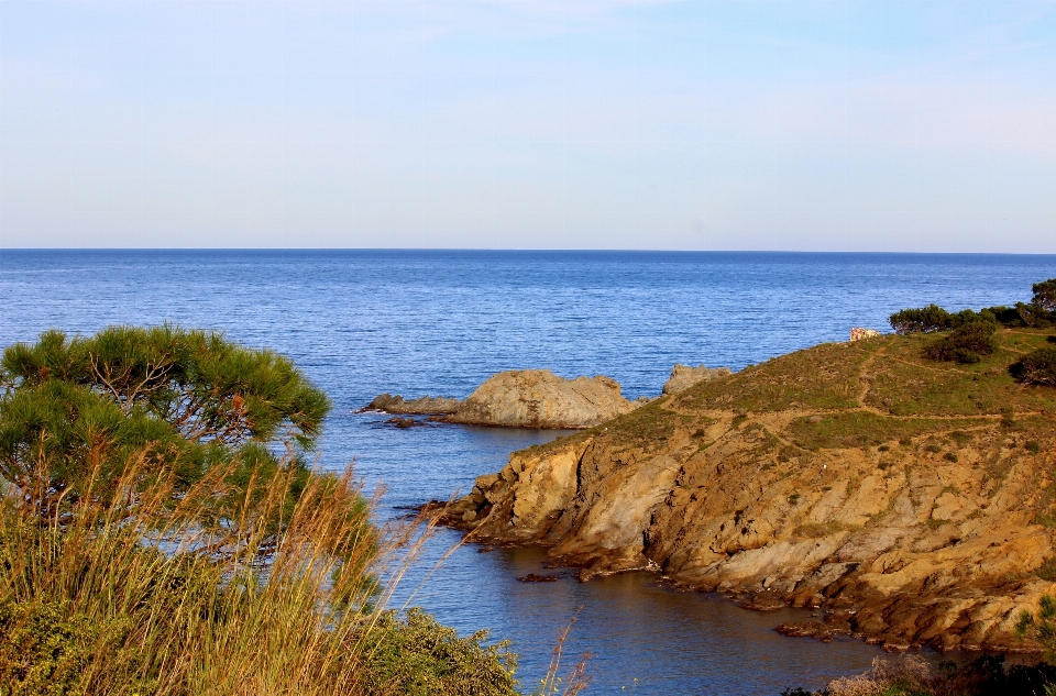 海滩 景观 海 海岸