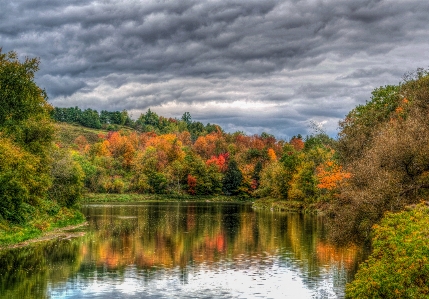 Landscape tree water nature Photo