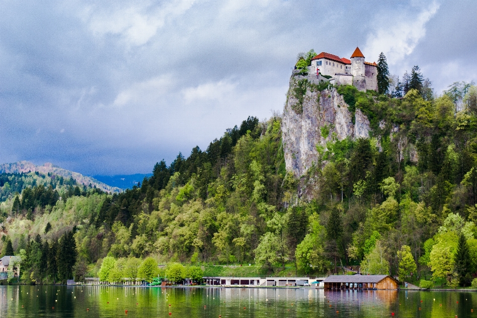 Landschaft baum berg see