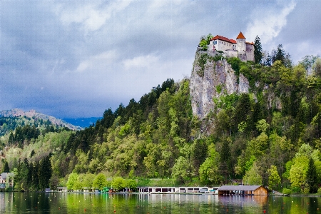 風景 木 山 湖 写真