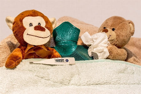 Cold rest toy teddy bear Photo