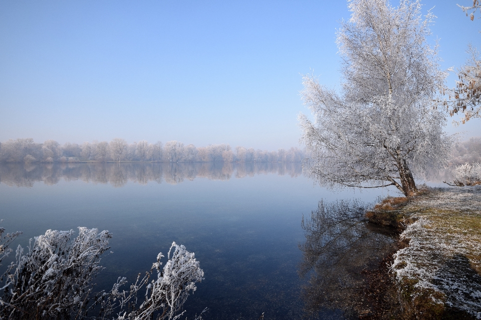 Krajobraz drzewo woda natura