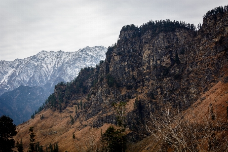 Landscape tree nature rock Photo