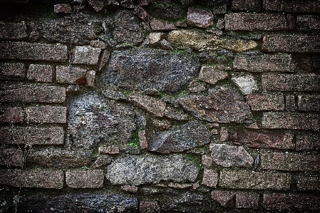 Grass rock wood texture Photo