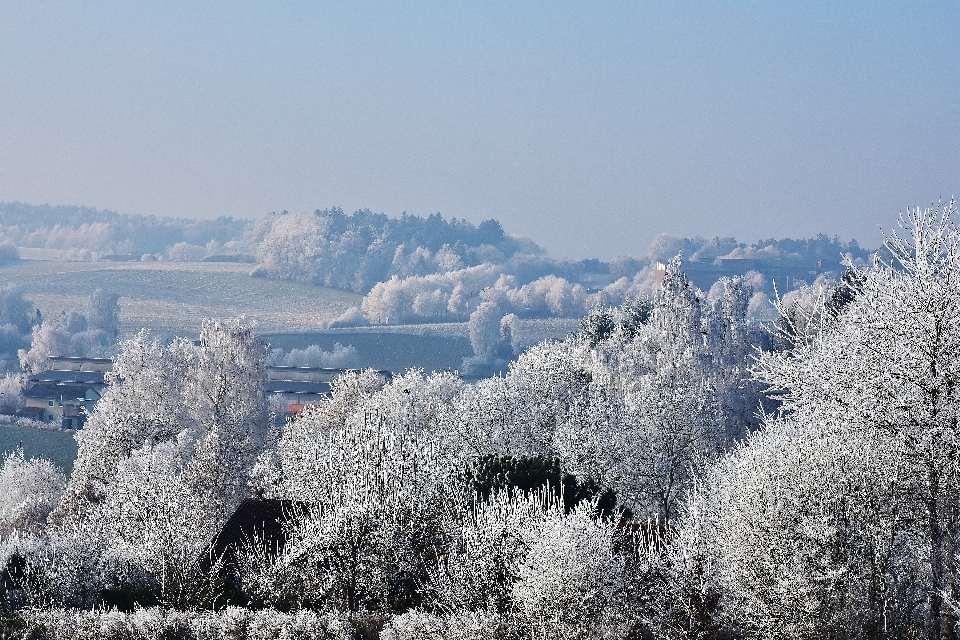 Krajobraz drzewo natura góra