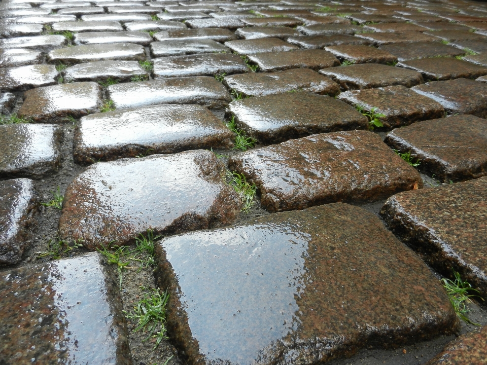 Water grass rock street