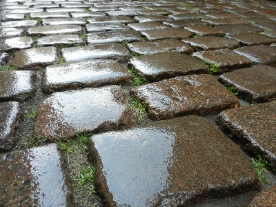 Water grass rock street Photo