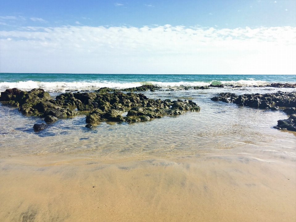 海滩 景观 海 海岸