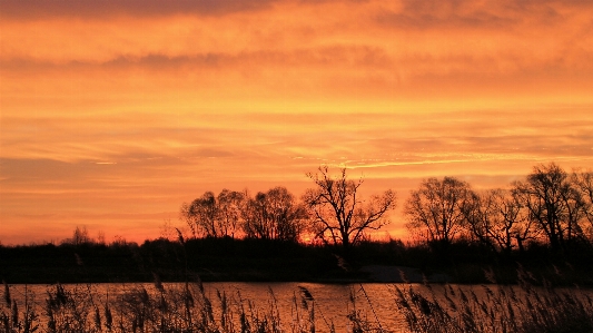 Landscape tree nature horizon Photo