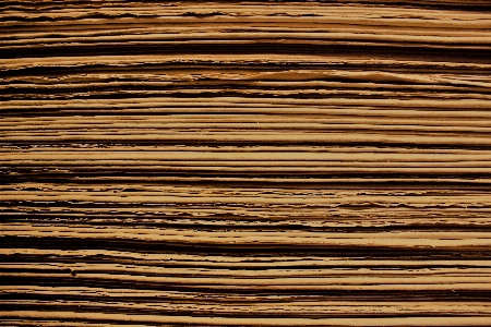 Book wood sunlight texture Photo