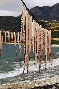 Beach sea coast water Photo