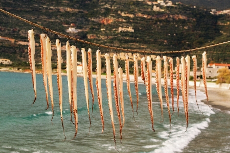 Foto Pantai laut air luar ruangan