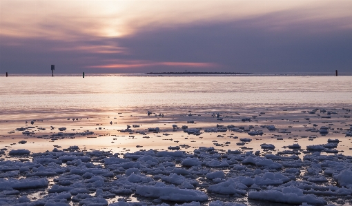 Beach sea coast water Photo