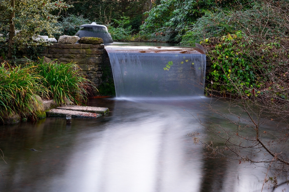 Baum wasser natur wasserfall