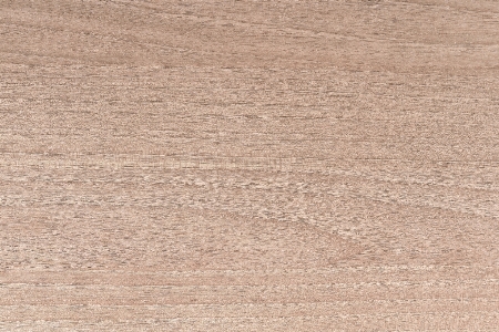 Wood texture floor clear Photo