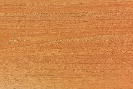 Wood texture floor clear Photo