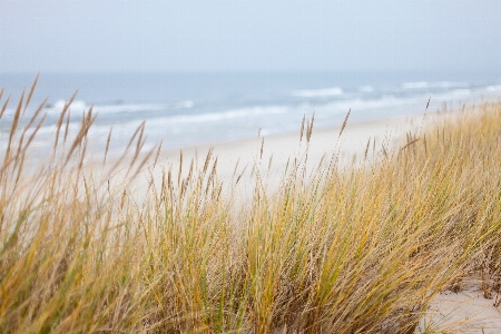 Strand meer küste natur Foto