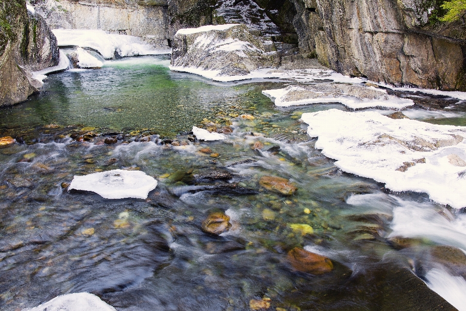 Landscape tree water nature