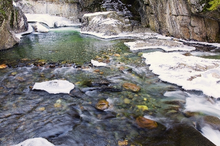 Landscape tree water nature Photo