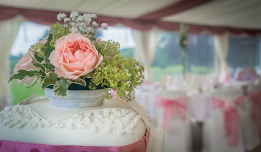 Foto Doce flor comida rosa