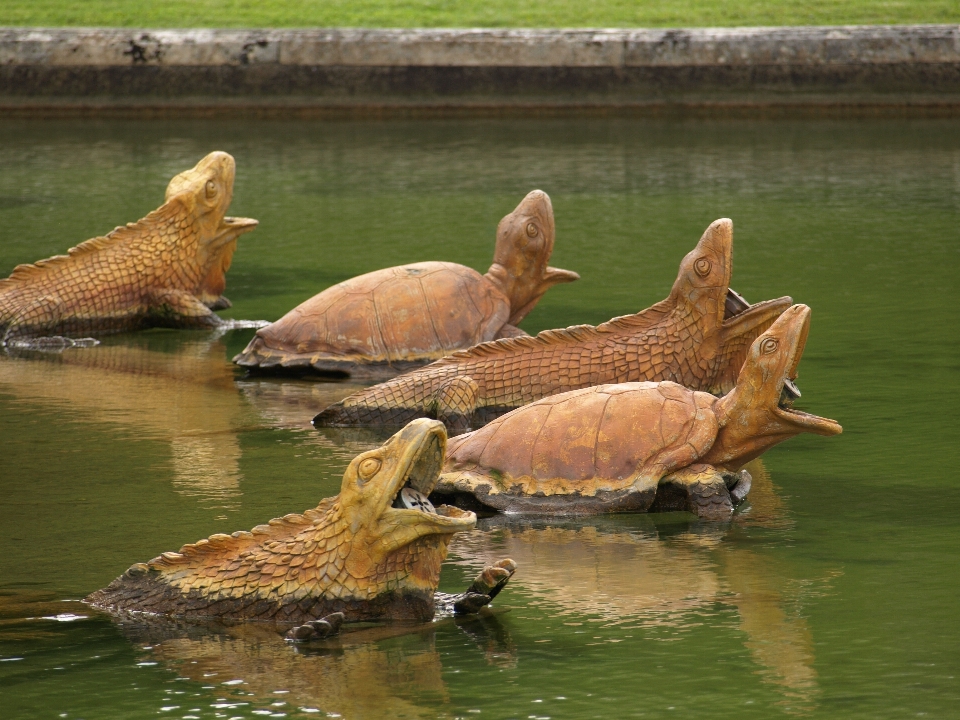 France faune jardin fauna