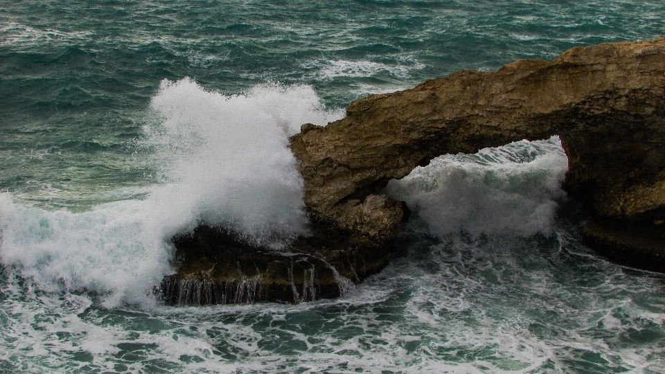 海 海岸 水 自然