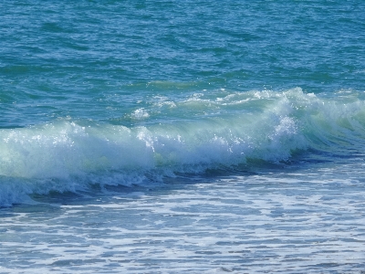 Beach sea coast water Photo