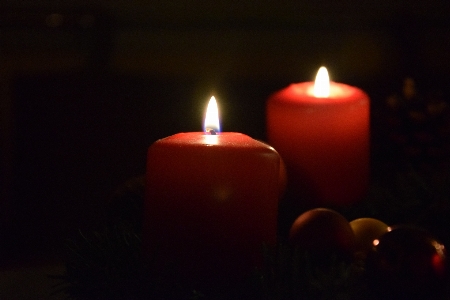 Photo Hiver lumière pétale rouge