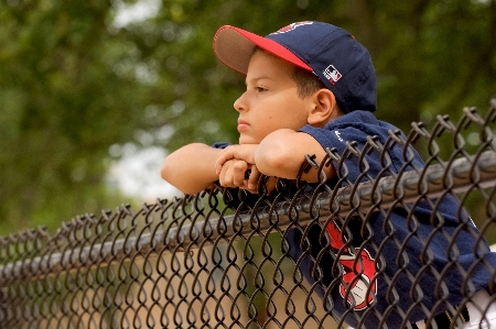 Fence baseball sport game Photo