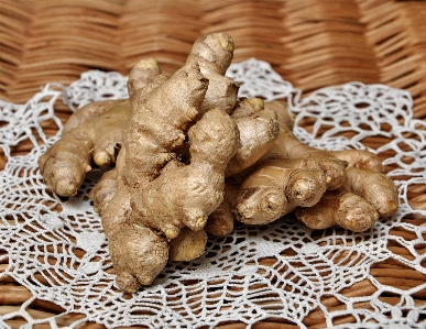 Sharp 植物 食べ物 ハーブ 写真