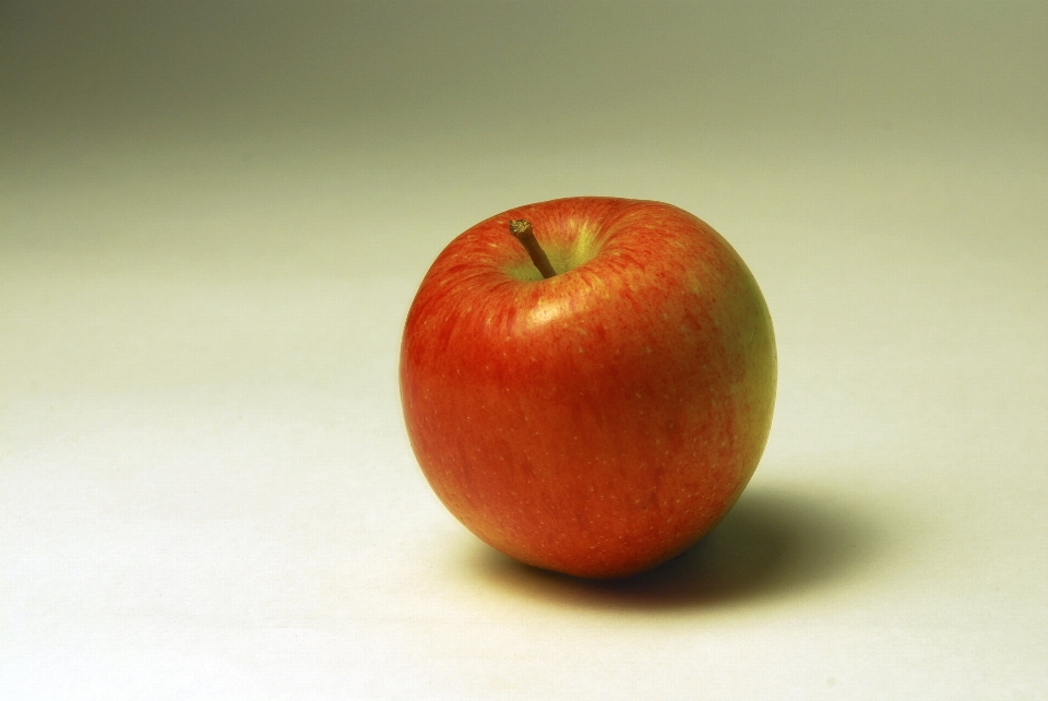 Apple 植物 フルーツ 花