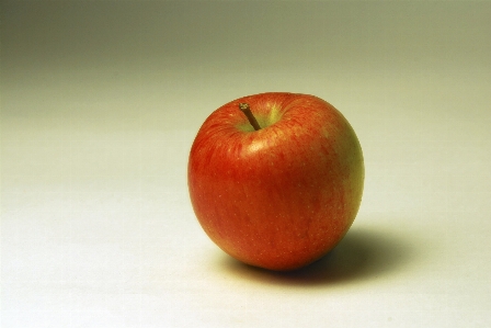 Apple 植物 水果 花 照片