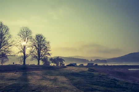 Landscape tree water nature Photo