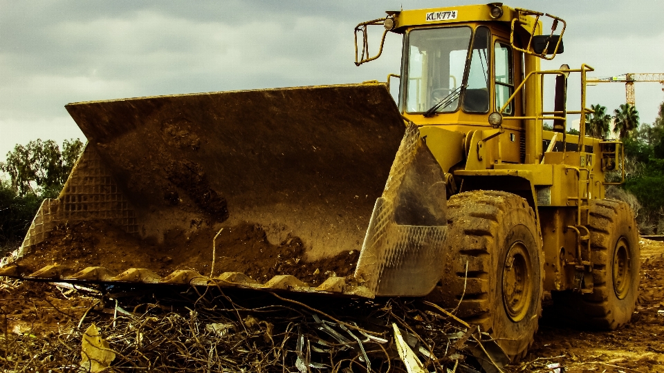 Wood field asphalt vehicle