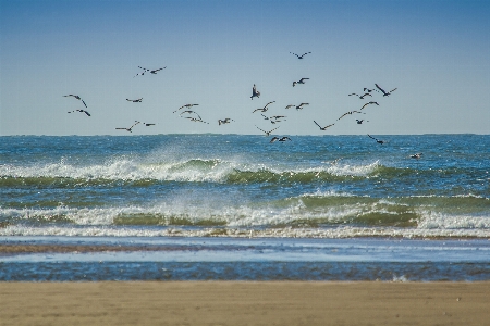 Beach sea coast sand Photo