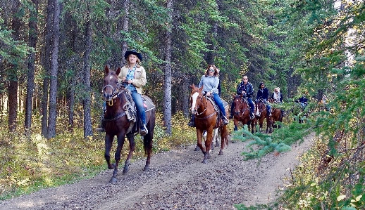 Trail country recreation rural Photo