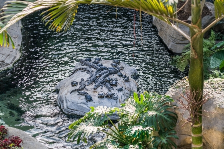 Nature outdoor rock pond Photo