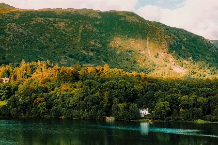 Landscape tree water nature Photo