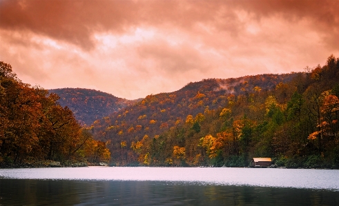 Landscape tree water nature Photo