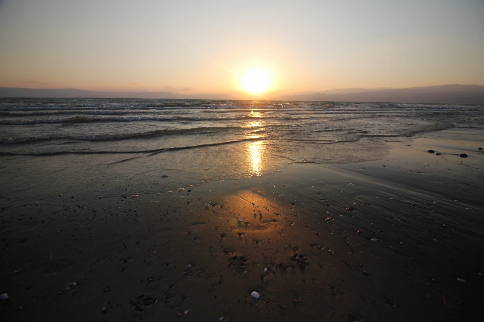 Beach landscape sea coast