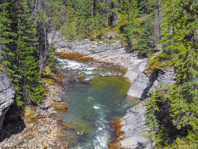 Landscape water nature forest Photo