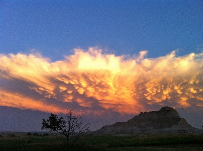 Landscape nature horizon wilderness Photo