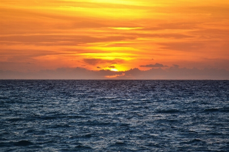 Landscape sea coast water Photo