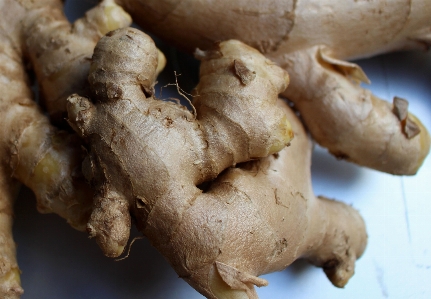 Nature plant food spice Photo